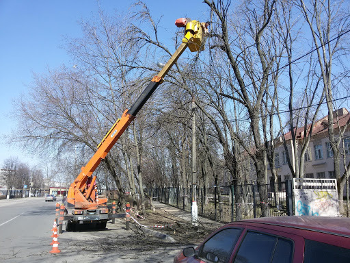 фото кронирование с автовышки